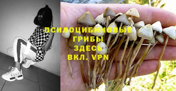 шишки Алзамай