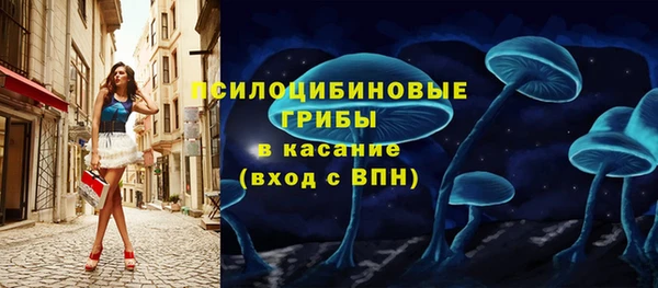шишки Алзамай
