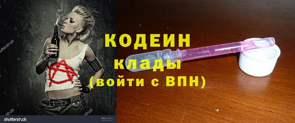 индика Нязепетровск