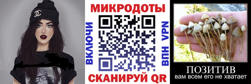 Псилоцибиновые грибы ЛСД Нижняя Салда